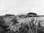 Okinawa History Photo