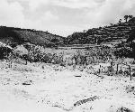 Okinawa History Photo