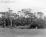 Okinawa History Photo