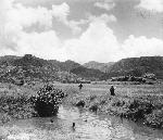 Okinawa History Photo