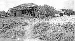 Okinawa History Photo