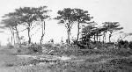 Okinawa History Photo