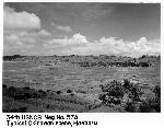 Okinawa History Photo