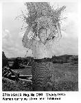 Okinawa History Photo