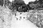 Okinawa History Photo