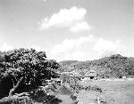 Okinawa History Photo