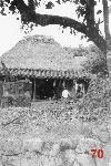 Okinawa History Photo