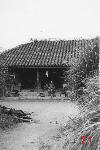 Okinawa History Photo