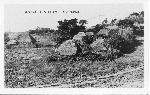 Okinawa History Photo