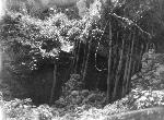 Okinawa History Photo