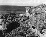 Okinawa History Photo