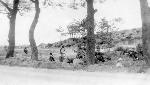 Okinawa History Photo