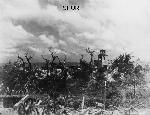 Okinawa History Photo