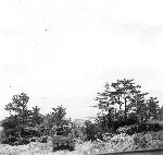 Okinawa History Photo