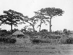 Okinawa History Photo