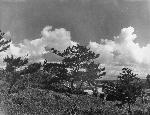 Okinawa History Photo