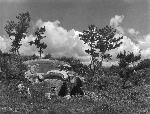 Okinawa History Photo