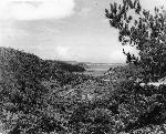 Okinawa History Photo