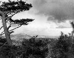 Okinawa History Photo