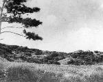 Okinawa History Photo