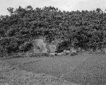 Okinawa History Photo