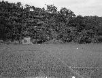 Okinawa History Photo