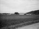 Okinawa History Photo