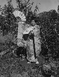 Okinawa History Photo