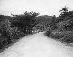 Okinawa History Photo