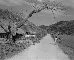 Okinawa History Photo