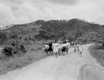 Okinawa History Photo