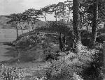 Okinawa History Photo