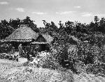 Okinawa History Photo