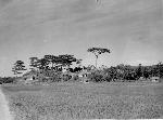 Okinawa History Photo