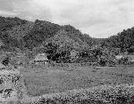 Okinawa History Photo