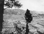 Okinawa History Photo