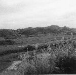 Okinawa History Photo