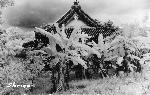 Okinawa History Photo