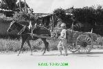 Okinawa History Photo