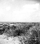 Okinawa History Photo