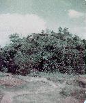 Okinawa History Photo