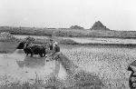 Okinawa History Photo