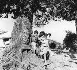 Okinawa History Photo