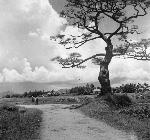 Okinawa History Photo