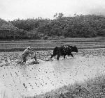 Okinawa History Photo