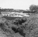 Okinawa History Photo