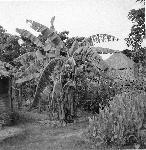 Okinawa History Photo