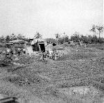 Okinawa History Photo