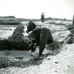 Okinawa History Photo