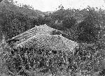 Okinawa History Photo